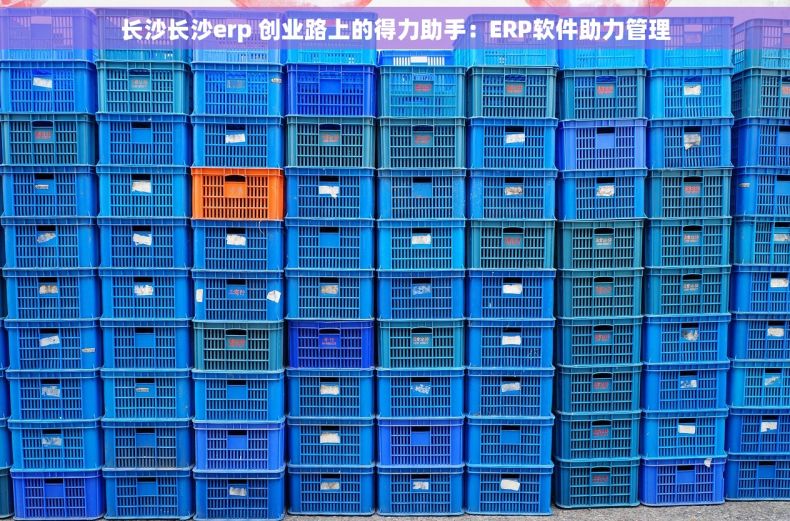 长沙长沙erp 创业路上的得力助手：ERP软件助力管理