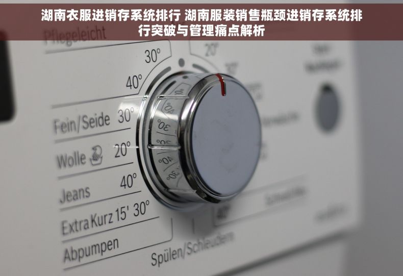 湖南衣服进销存系统排行 湖南服装销售瓶颈进销存系统排行突破与管理痛点解析