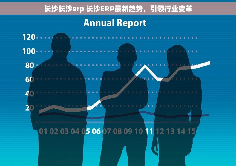长沙长沙erp 长沙ERP最新趋势，引领行业变革