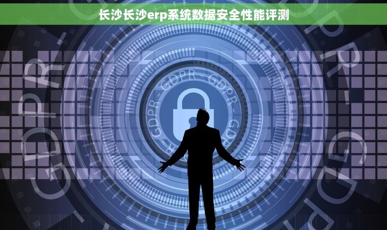 长沙长沙erp系统数据安全性能评测
