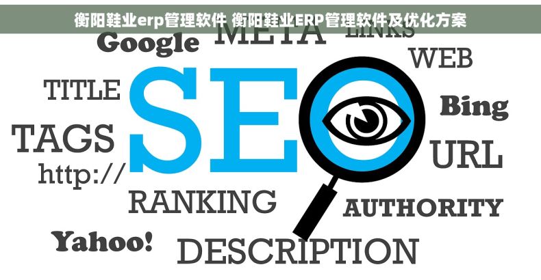 衡阳鞋业erp管理软件 衡阳鞋业ERP管理软件及优化方案