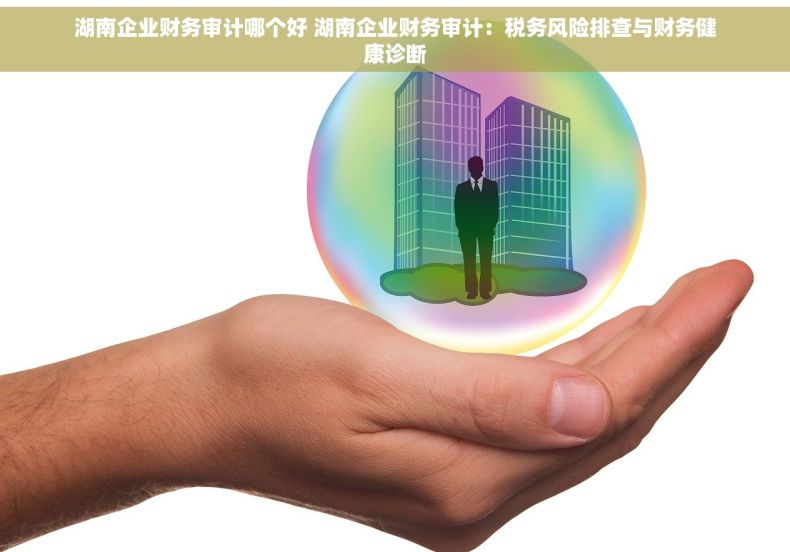 湖南企业财务审计哪个好 湖南企业财务审计：税务风险排查与财务健康诊断
