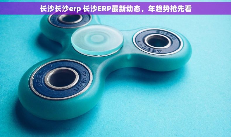 长沙长沙erp 长沙ERP最新动态，年趋势抢先看