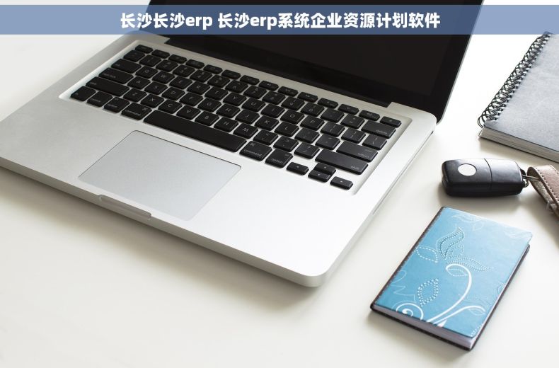 长沙长沙erp 长沙erp系统企业资源计划软件