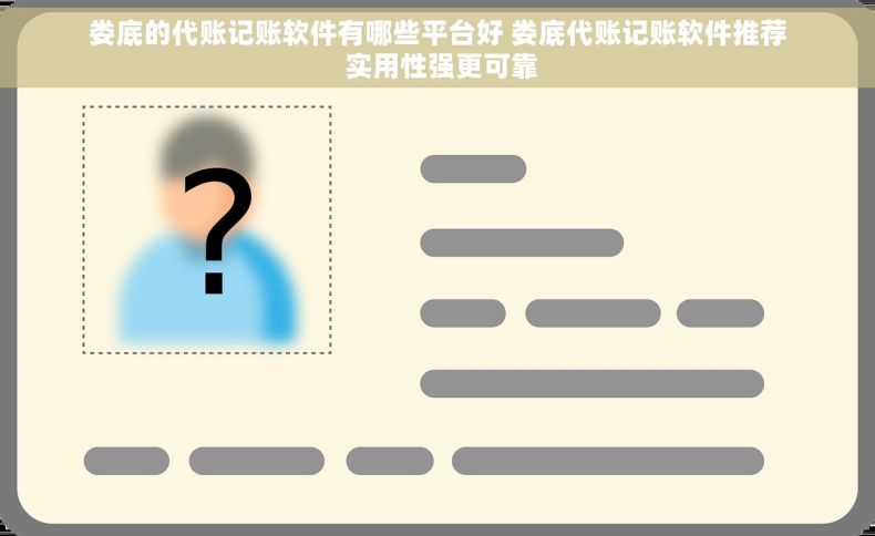 娄底的代账记账软件有哪些平台好 娄底代账记账软件推荐 实用性强更可靠