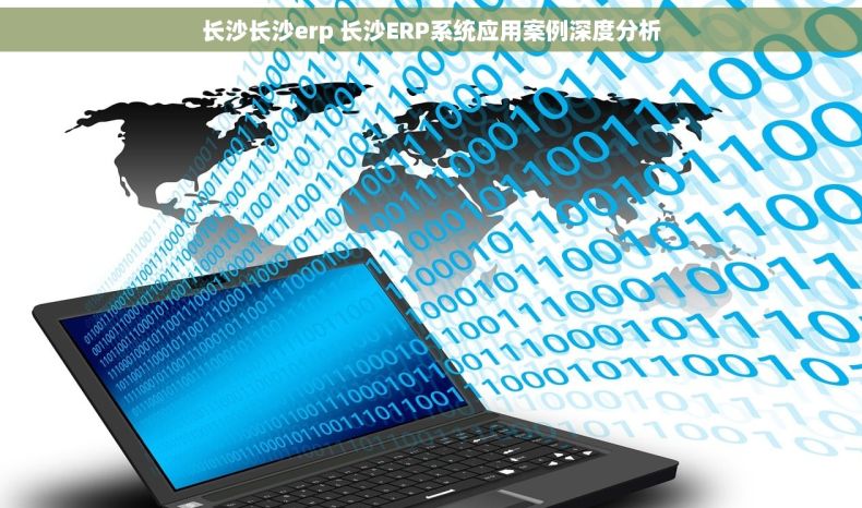长沙长沙erp 长沙ERP系统应用案例深度分析