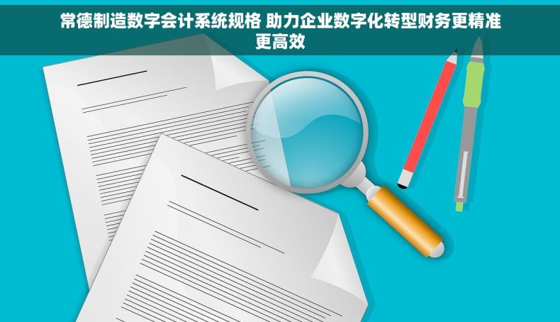 常德制造数字会计系统规格 助力企业数字化转型财务更精准更高效