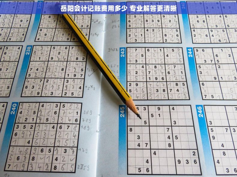 岳阳会计记账费用多少 专业解答更清晰