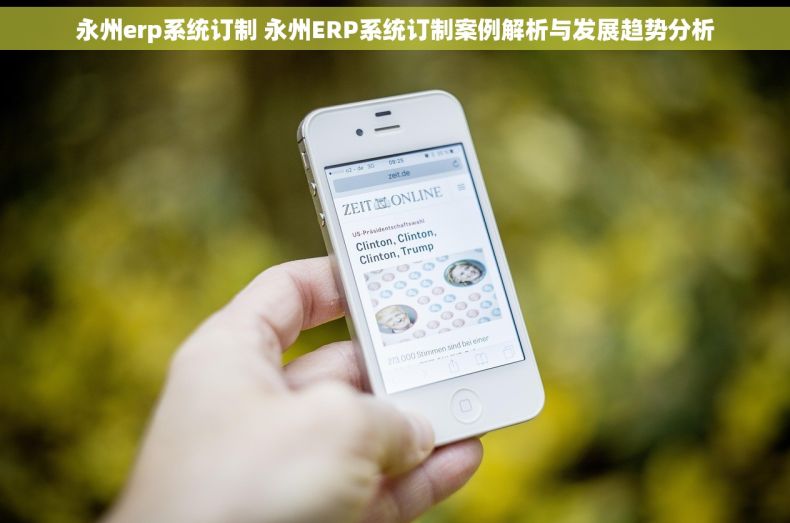 永州erp系统订制 永州ERP系统订制案例解析与发展趋势分析