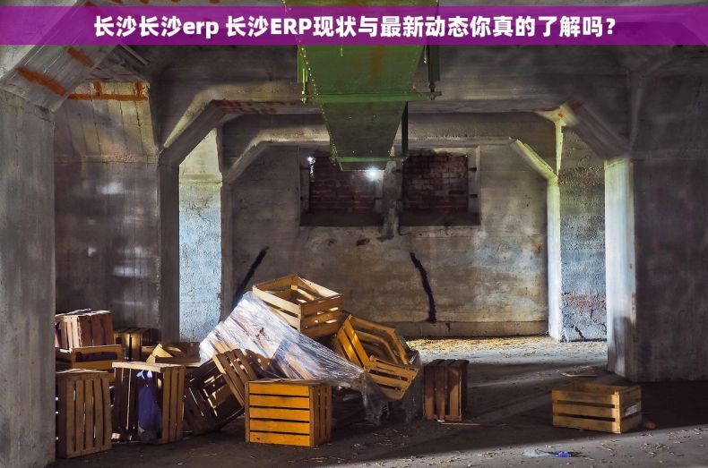 长沙长沙erp 长沙ERP现状与最新动态你真的了解吗？