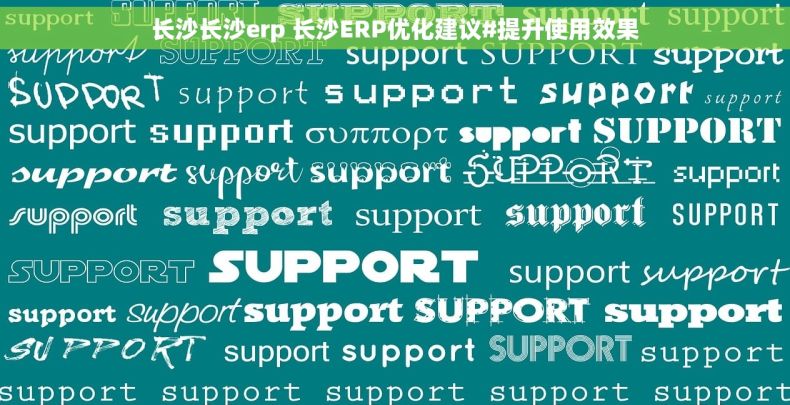 长沙长沙erp 长沙ERP优化建议#提升使用效果