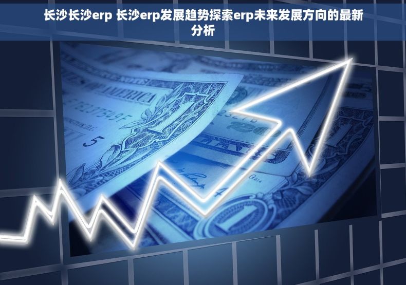 长沙长沙erp 长沙erp发展趋势探索erp未来发展方向的最新分析