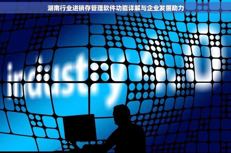 湖南行业进销存管理软件功能详解与企业发展助力