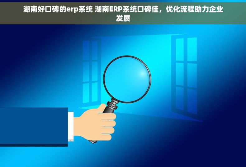 湖南好口碑的erp系统 湖南ERP系统口碑佳，优化流程助力企业发展