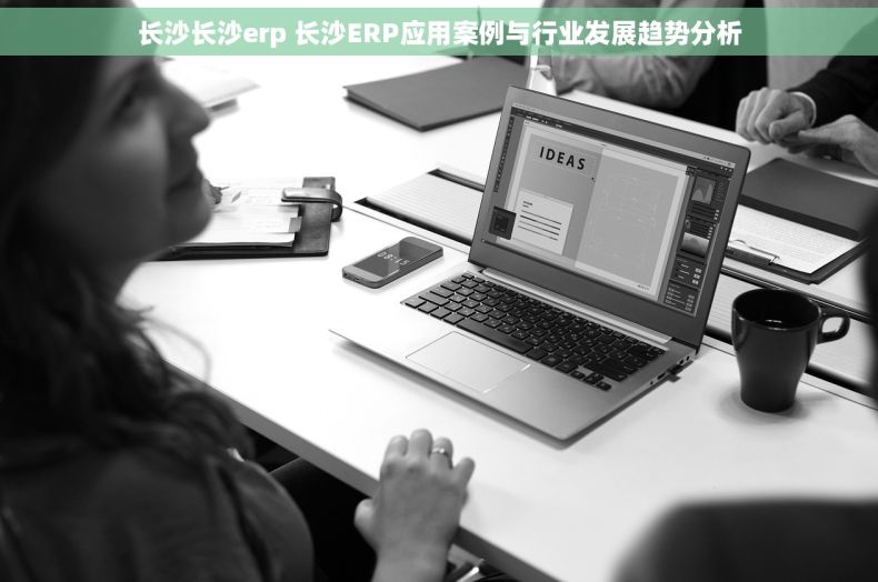 长沙长沙erp 长沙ERP应用案例与行业发展趋势分析
