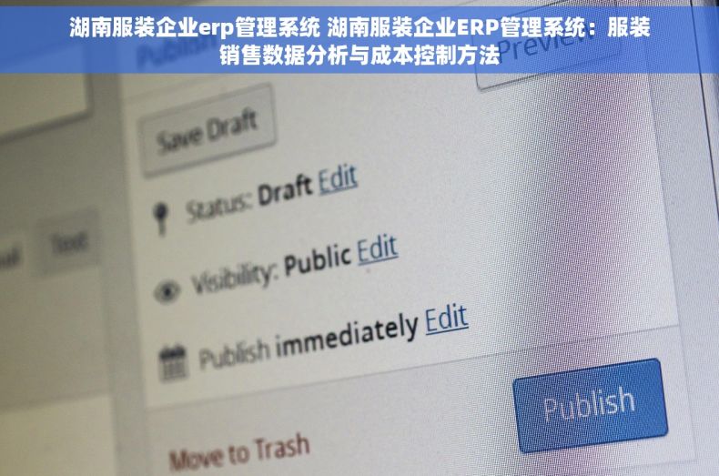 湖南服装企业erp管理系统 湖南服装企业ERP管理系统：服装销售数据分析与成本控制方法