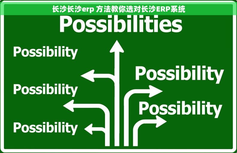 长沙长沙erp 方法教你选对长沙ERP系统