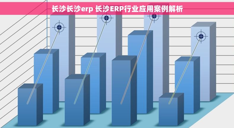 长沙长沙erp 长沙ERP行业应用案例解析
