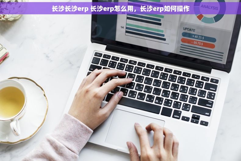 长沙长沙erp 长沙erp怎么用，长沙erp如何操作