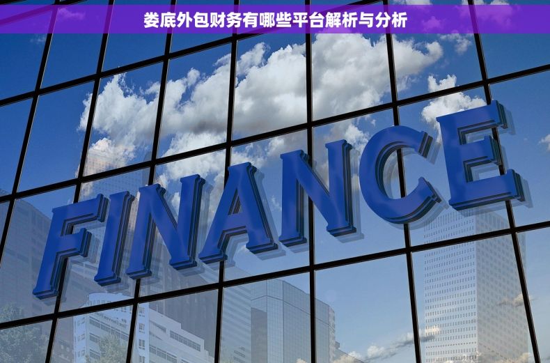 娄底外包财务有哪些平台解析与分析