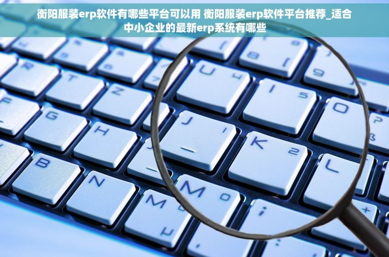 衡阳服装erp软件有哪些平台可以用 衡阳服装erp软件平台推荐_适合中小企业的最新erp系统有哪些