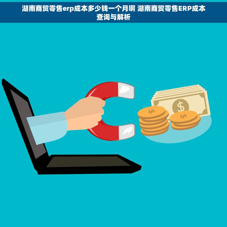 湖南商贸零售erp成本多少钱一个月啊 湖南商贸零售ERP成本查询与解析