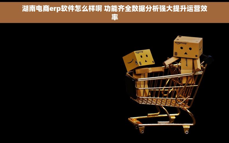 湖南电商erp软件怎么样啊 功能齐全数据分析强大提升运营效率