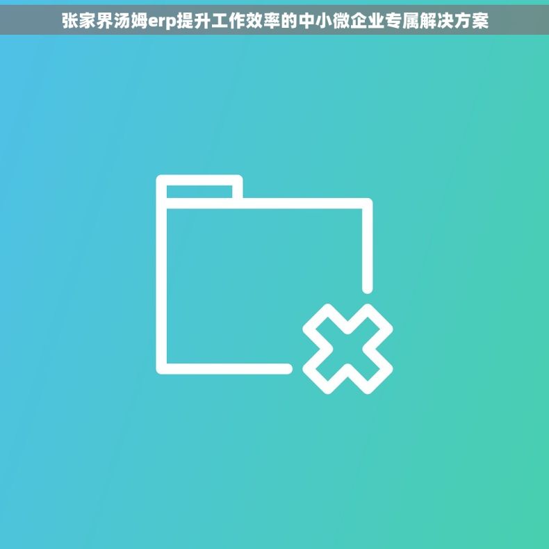 张家界汤姆erp提升工作效率的中小微企业专属解决方案
