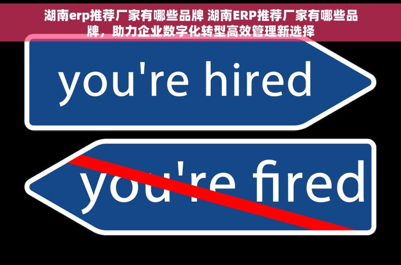 湖南erp推荐厂家有哪些品牌 湖南ERP推荐厂家有哪些品牌，助力企业数字化转型高效管理新选择