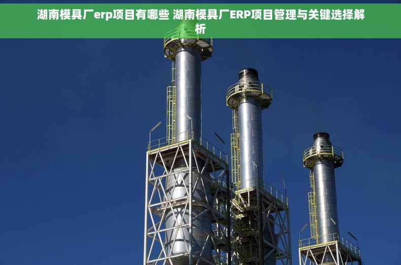 湖南模具厂erp项目有哪些 湖南模具厂ERP项目管理与关键选择解析