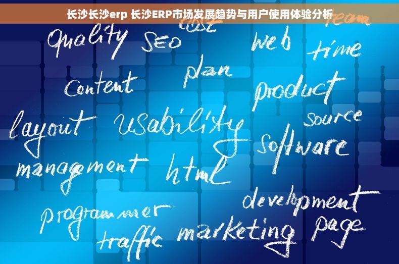 长沙长沙erp 长沙ERP市场发展趋势与用户使用体验分析
