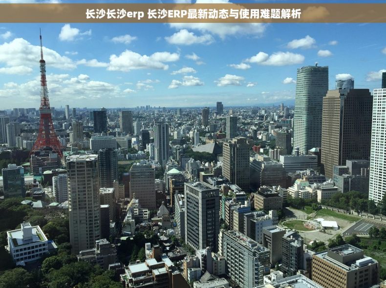 长沙长沙erp 长沙ERP最新动态与使用难题解析