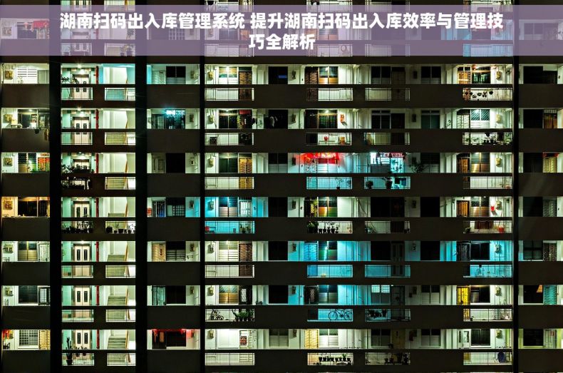 湖南扫码出入库管理系统 提升湖南扫码出入库效率与管理技巧全解析