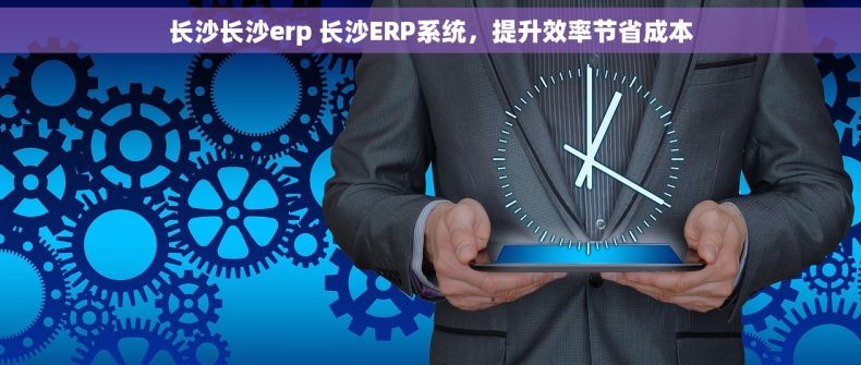 长沙长沙erp 长沙ERP系统，提升效率节省成本