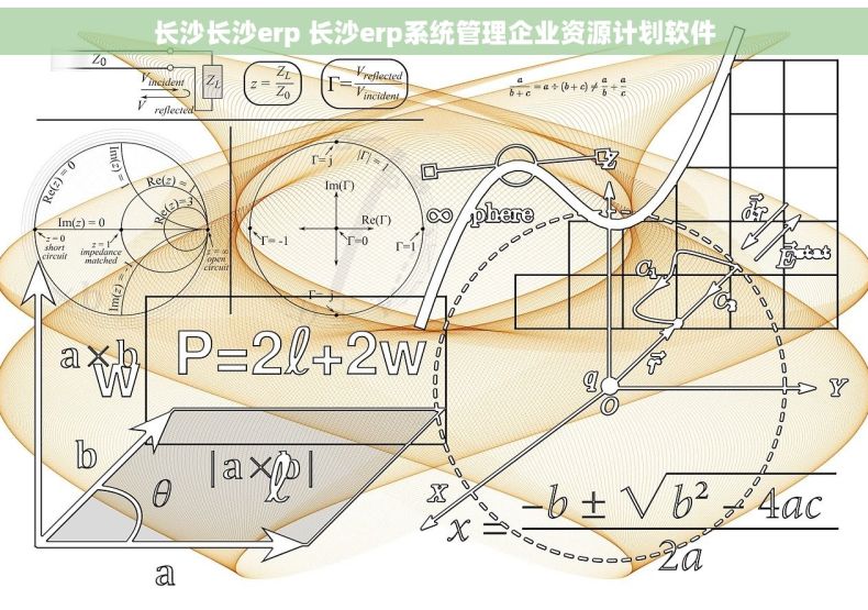 长沙长沙erp 长沙erp系统管理企业资源计划软件