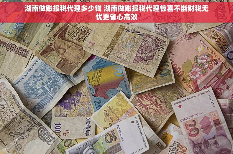 湖南做账报税代理多少钱 湖南做账报税代理惊喜不断财税无忧更省心高效