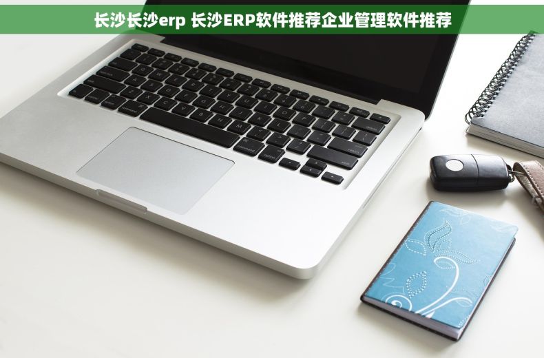 长沙长沙erp 长沙ERP软件推荐企业管理软件推荐