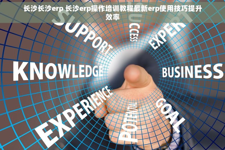 长沙长沙erp 长沙erp操作培训教程最新erp使用技巧提升效率