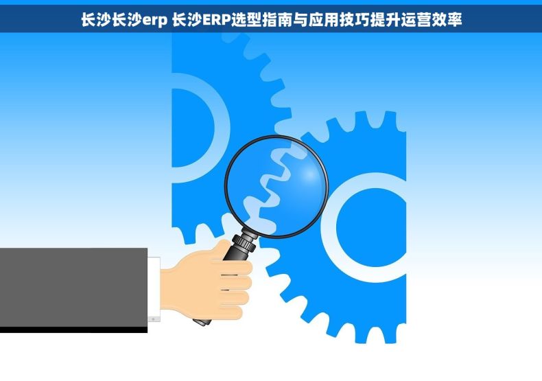 长沙长沙erp 长沙ERP选型指南与应用技巧提升运营效率