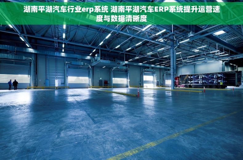 湖南平湖汽车行业erp系统 湖南平湖汽车ERP系统提升运营速度与数据清晰度