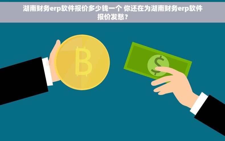 湖南财务erp软件报价多少钱一个 你还在为湖南财务erp软件报价发愁？