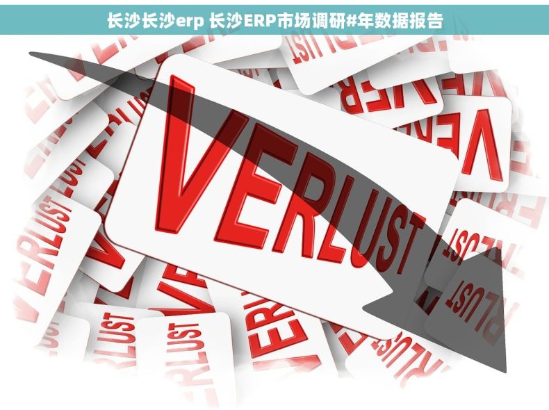 长沙长沙erp 长沙ERP市场调研#年数据报告
