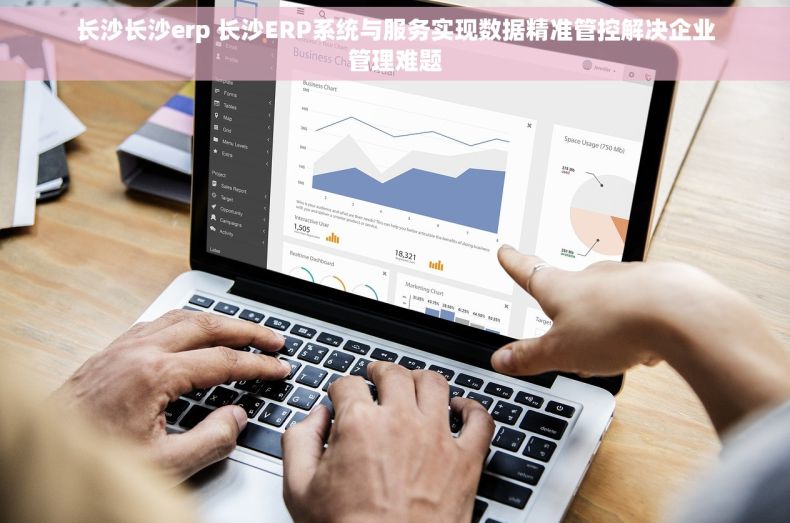 长沙长沙erp 长沙ERP系统与服务实现数据精准管控解决企业管理难题