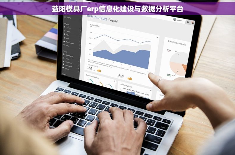 益阳模具厂erp信息化建设与数据分析平台