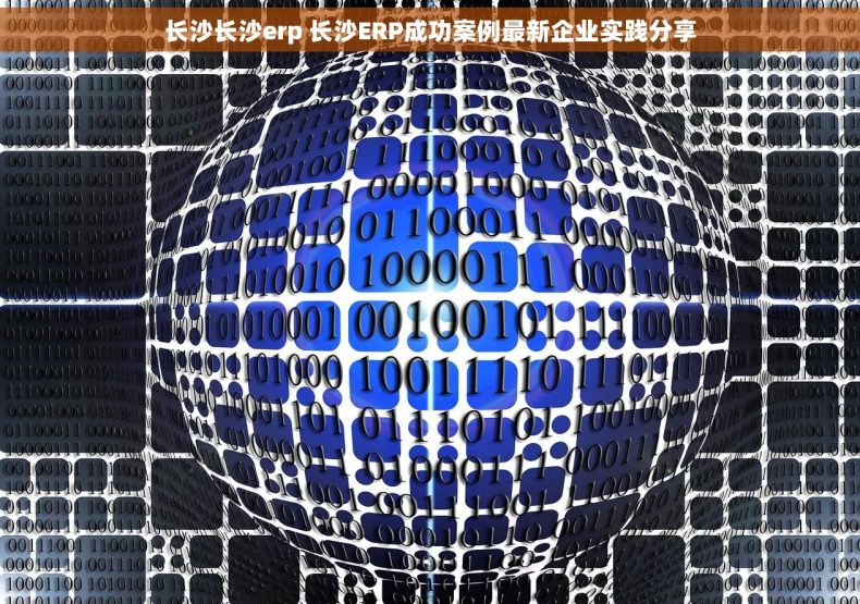 长沙长沙erp 长沙ERP成功案例最新企业实践分享