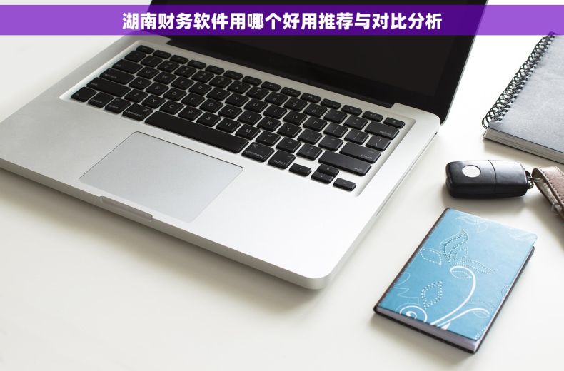 湖南财务软件用哪个好用推荐与对比分析