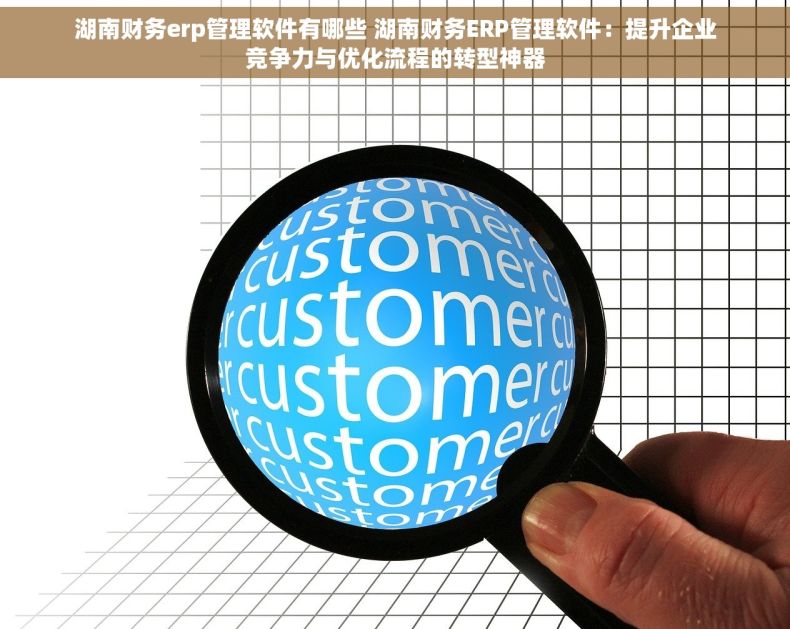 湖南财务erp管理软件有哪些 湖南财务ERP管理软件：提升企业竞争力与优化流程的转型神器