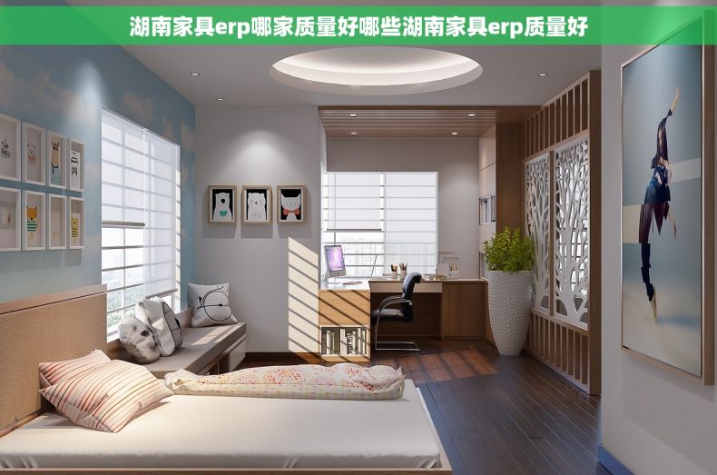 湖南家具erp哪家质量好哪些湖南家具erp质量好