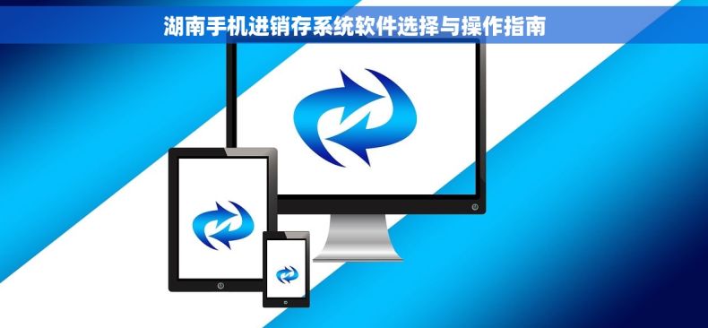 湖南手机进销存系统软件选择与操作指南
