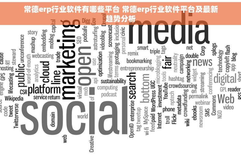 常德erp行业软件有哪些平台 常德erp行业软件平台及最新趋势分析